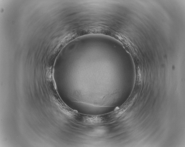 X0000086940383200704161435