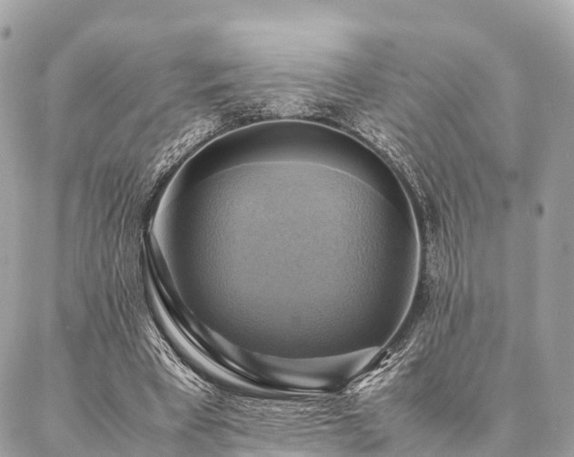 X0000086940393200704161434