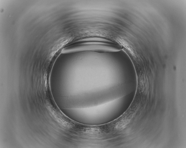 X0000086940398200704161434