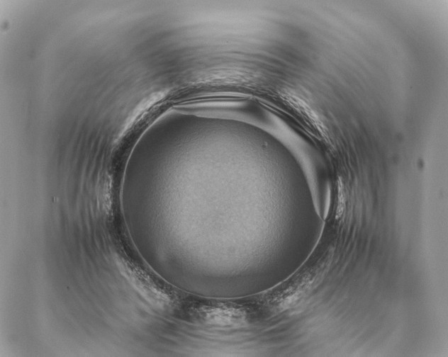 X0000086940400200704161434