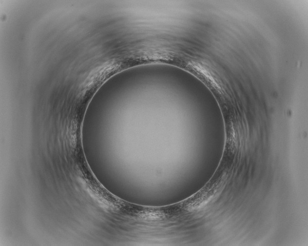 X0000086940402200704161434
