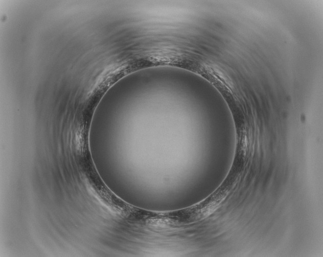 X0000086940408200704161434