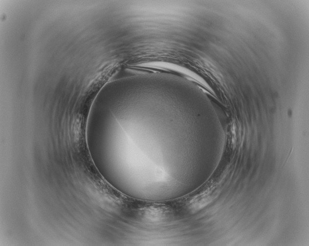 X0000086940412200704161434