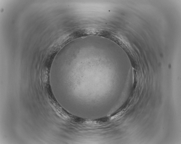 X0000086940413200704161434