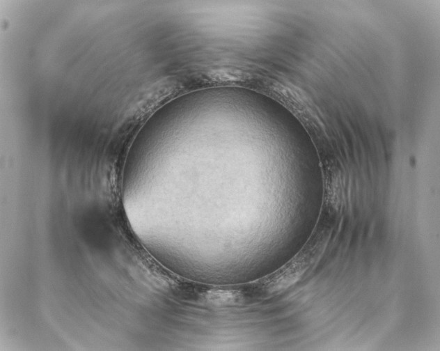 X0000086940418200704161433