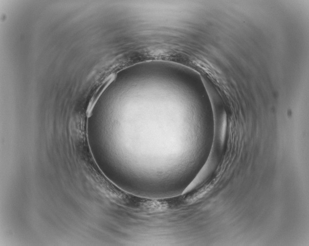 X0000086940421200704161433