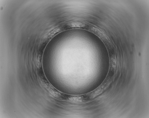 X0000086940422200704161433