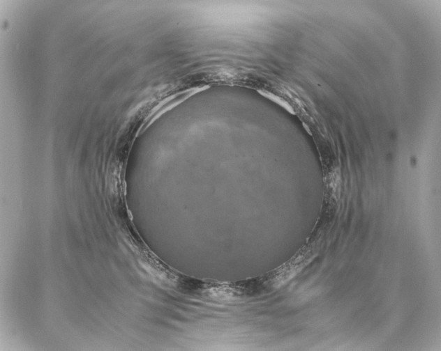 X0000086940423200704161433