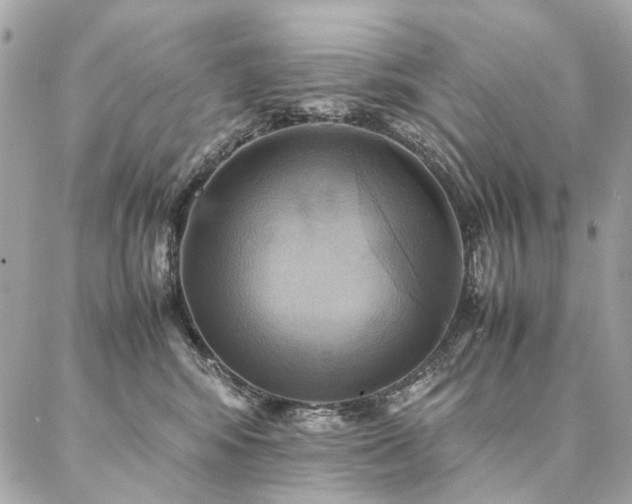 X0000086940424200704161433