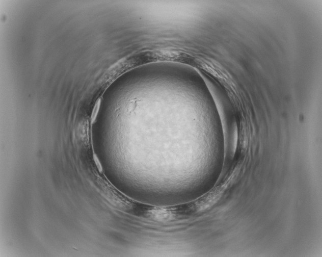 X0000086940425200704161433