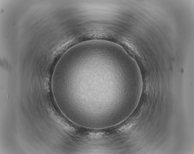 X0000086940450200704161433