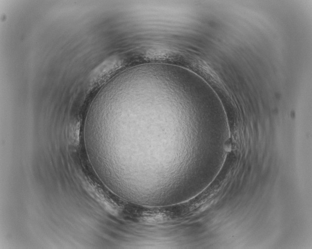 X0000086940454200704161433