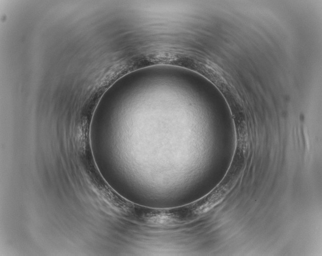 X0000086940460200704161433