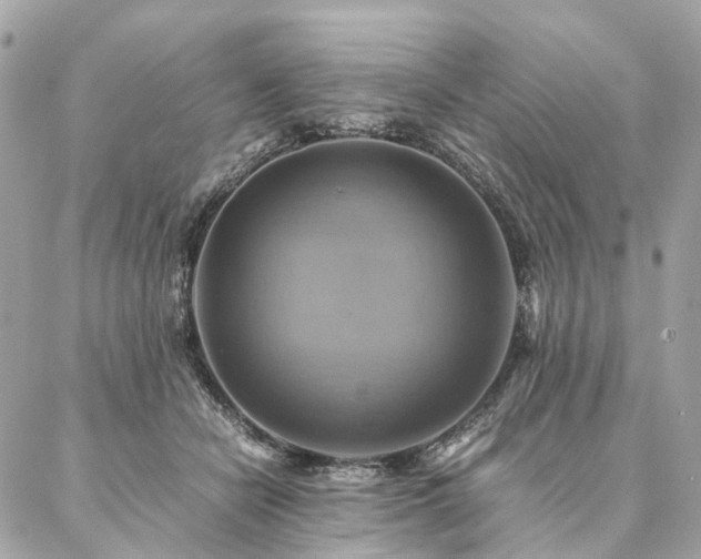 X0000086940462200704161433
