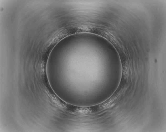 X0000086940466200704161433