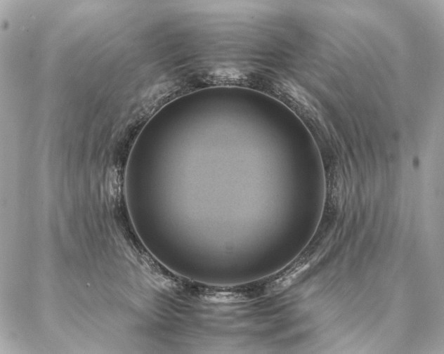 X0000086940467200704161433