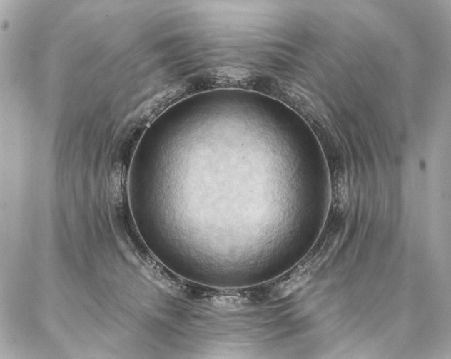 X0000086940468200704161433