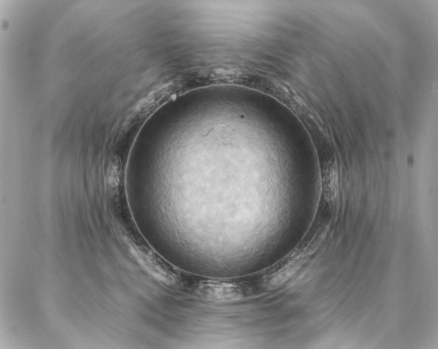 X0000086940472200704161433