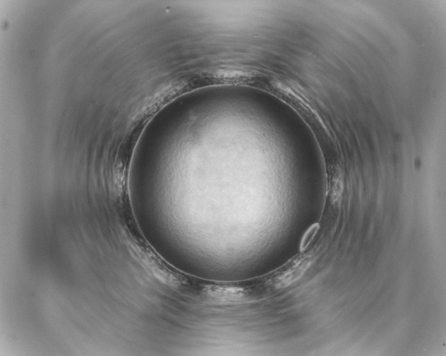 X0000086940476200704161433