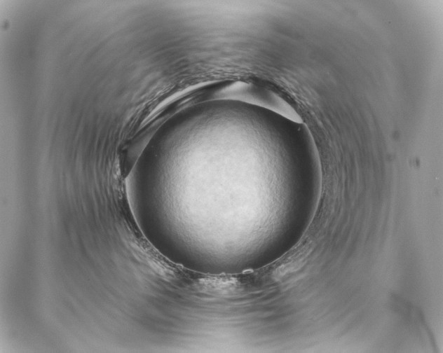 X0000086940480200704161433