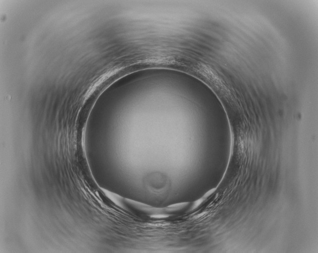 X0000086940484200704161432