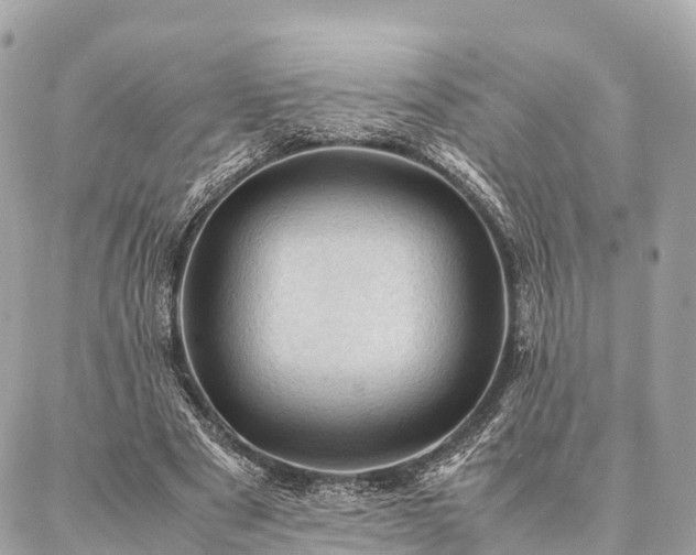 X0000086940489200704161432