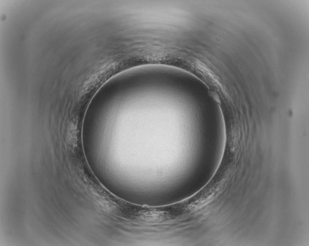 X0000086940497200704161432