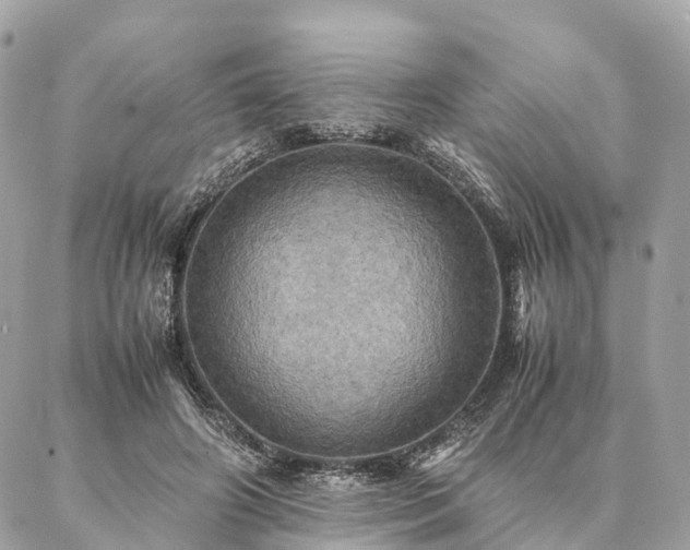 X0000086940498200704161432