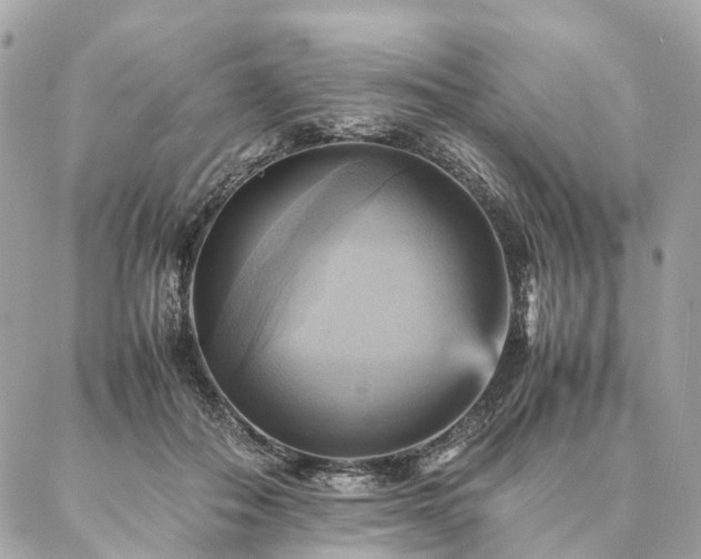 X0000086940506200704161432