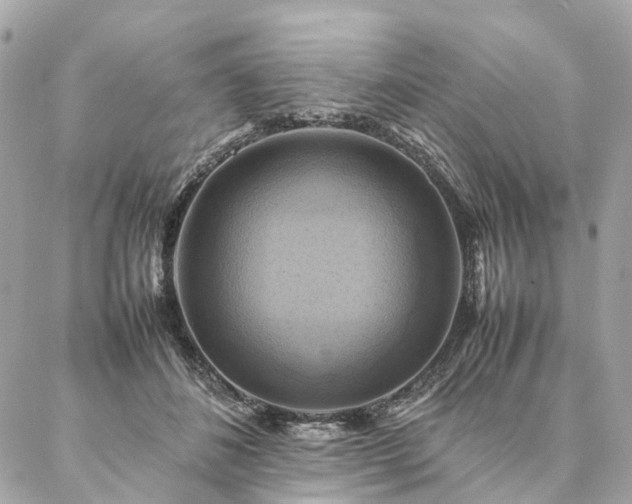X0000086940508200704161432