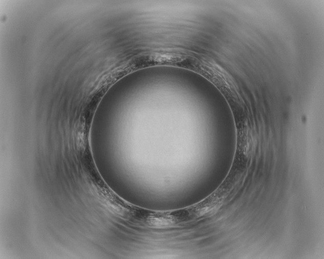 X0000086940510200704161432