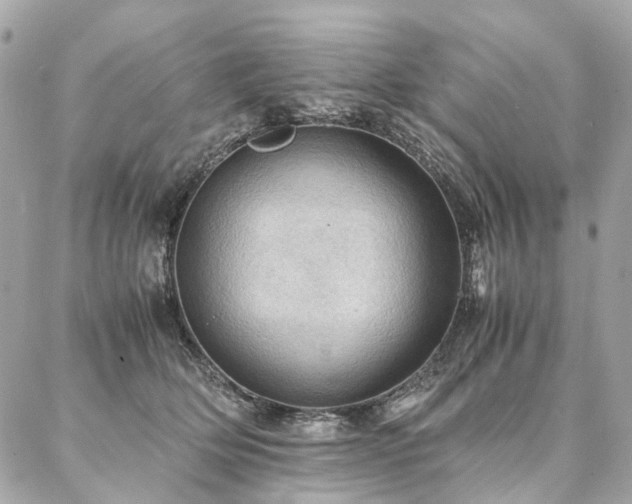 X0000086940514200704161432
