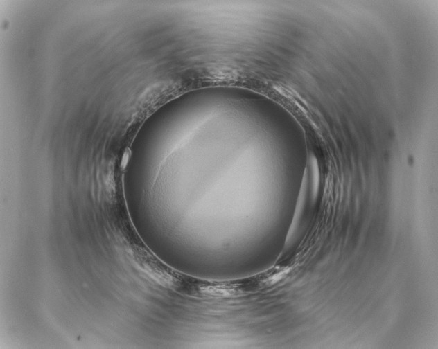 X0000086940516200704161432