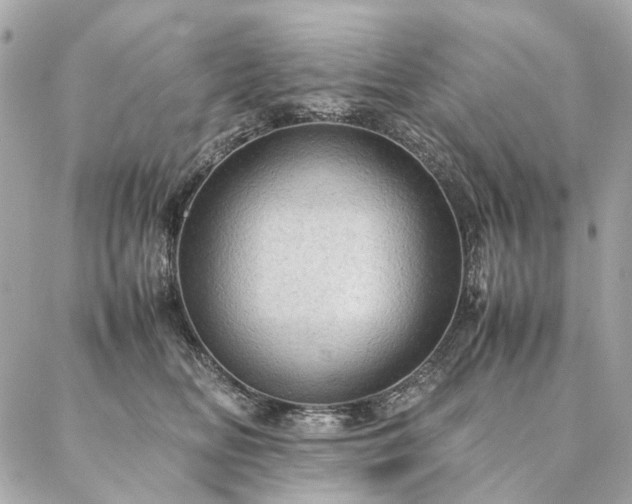 X0000086940518200704161432