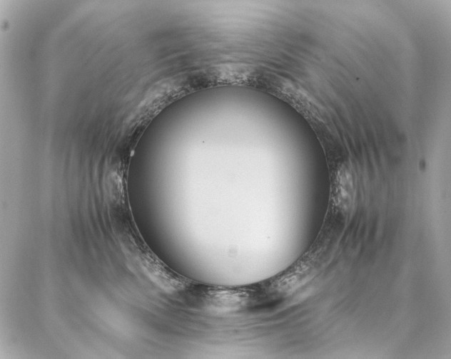 X0000086940522200704161432