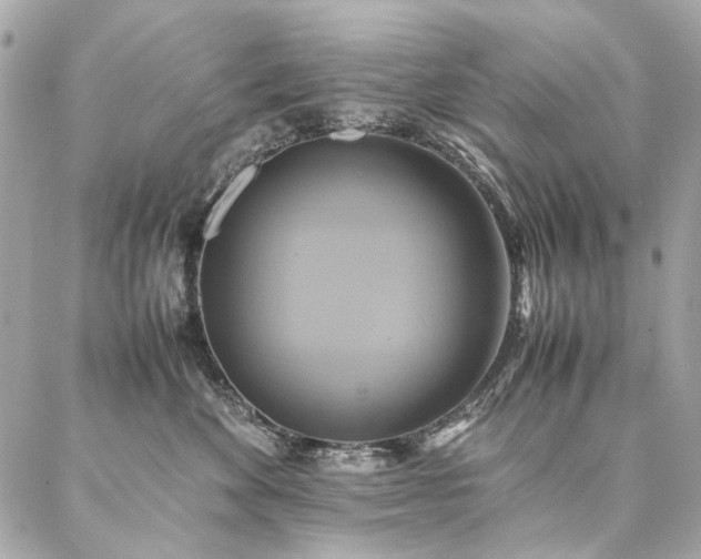 X0000086940524200704161432