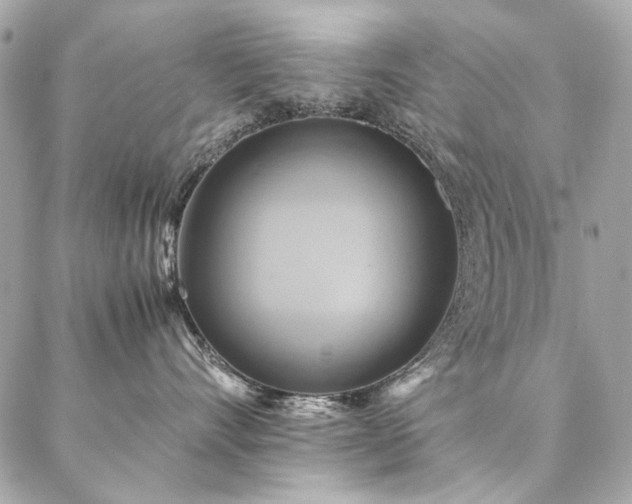 X0000086940528200704161432