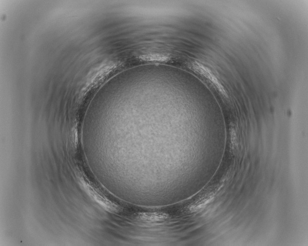 X0000086940541200704161431