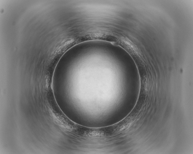 X0000086940546200704161431