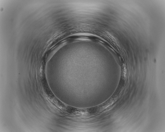 X0000086940552200704161431