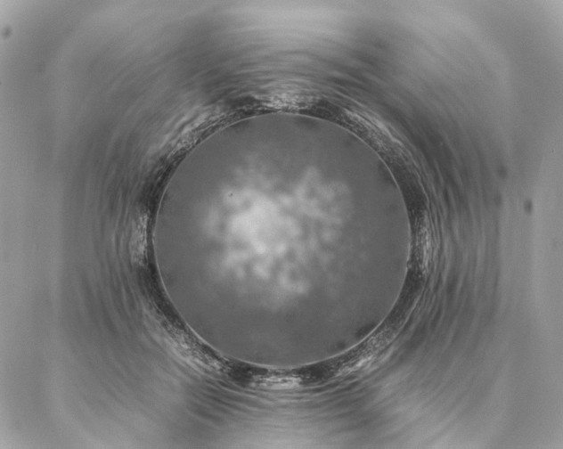 X0000086940554200704161431