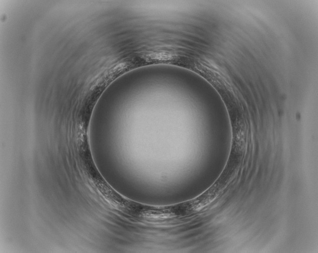 X0000086940555200704161431