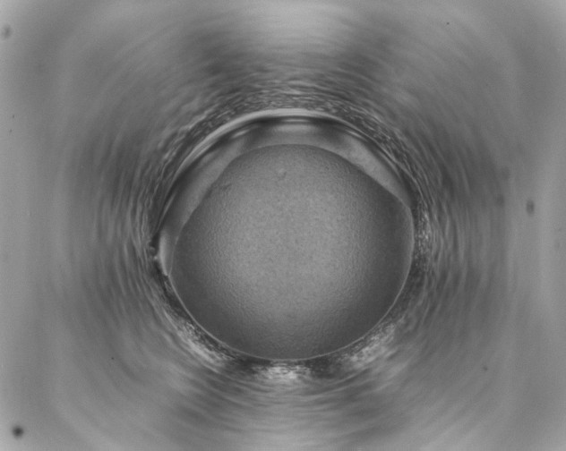 X0000086940566200704161432