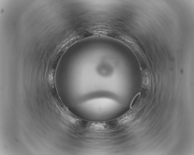 X0000086940573200704161432