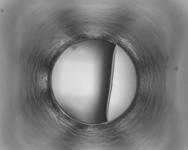 X0000086940596200704161431