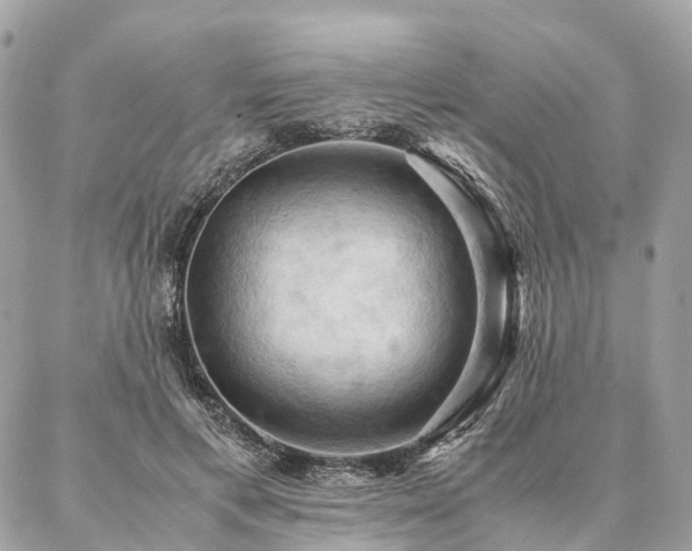 X0000086940597200704161431