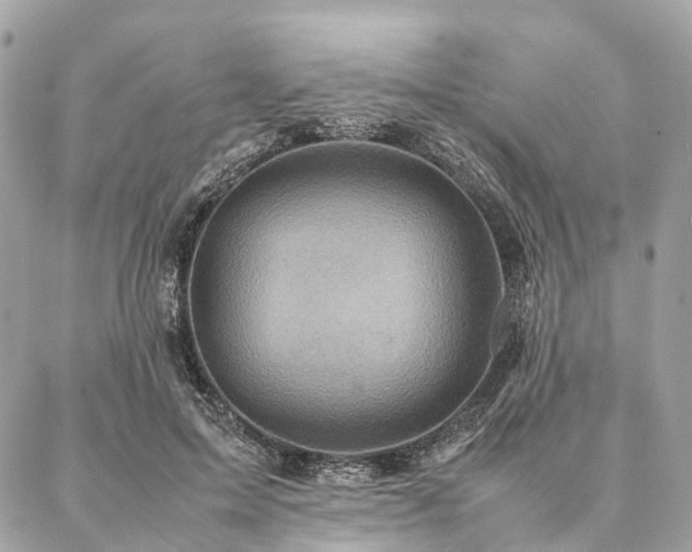 X0000086940599200704161431