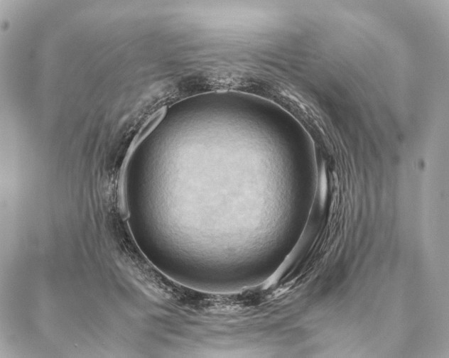 X0000086940601200704161431