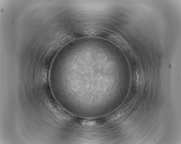 X0000086940602200704161431