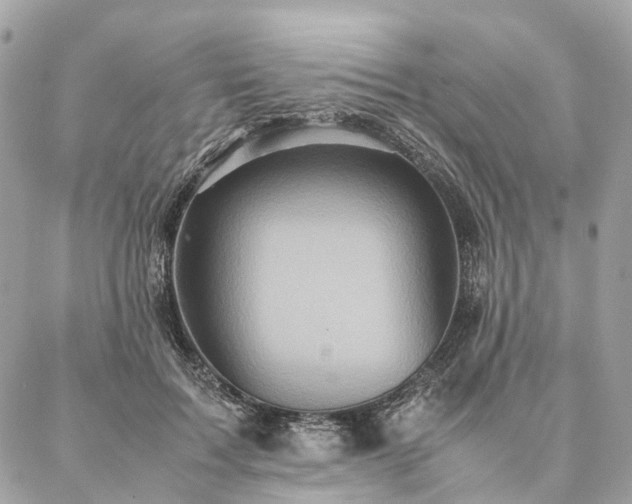X0000086940603200704161430